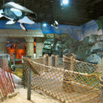 Long Island Aquarium Offers A Fun Day Out For the Whole Family