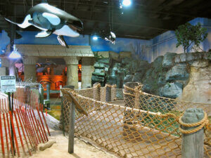 Long Island Aquarium Offers A Fun Day Out For the Whole Family